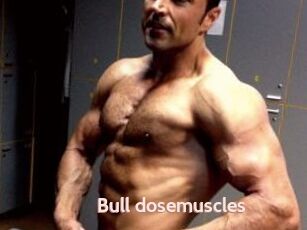 Bull_dosemuscles