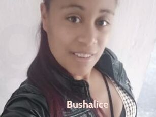 Bushalice