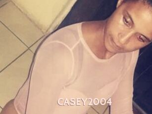 CASEY2004