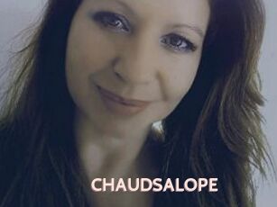 CHAUDSALOPE