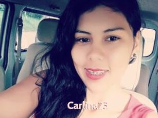 Carlina23