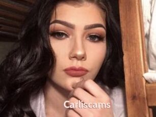 Carliscams