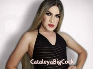 CataleyaBigCock