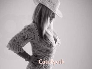 Catofyork