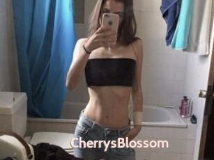 CherrysBlossom
