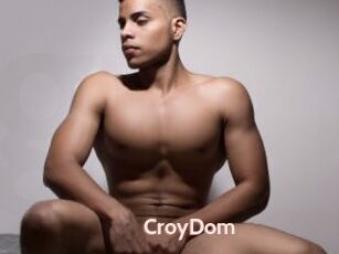 CroyDom