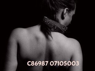 C86987-07105003