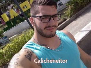Calicheneitor