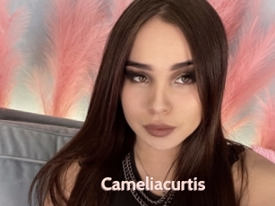 Cameliacurtis