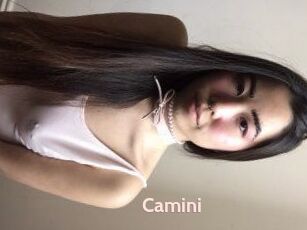 Camini