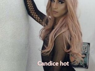 Candice_hot