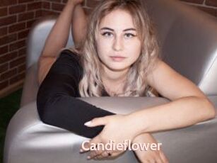 Candieflower