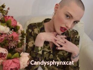 Candysphynxcat