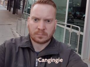 Cangingie