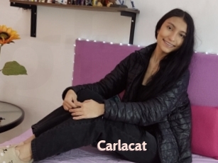 Carlacat