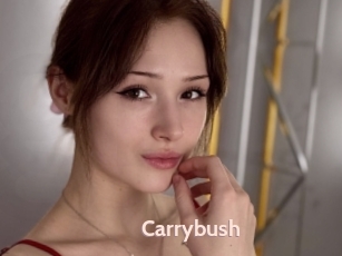 Carrybush
