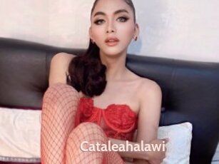 Cataleahalawi
