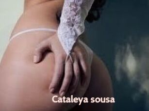 Cataleya_sousa