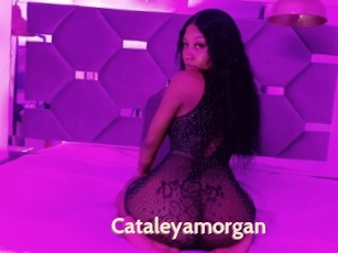Cataleyamorgan
