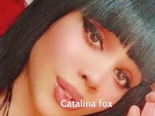 Catalina_fox