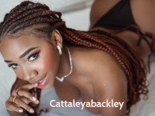 Cattaleyabackley