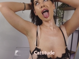 Cattitude
