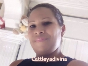 Cattleyadivina