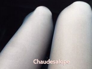 Chaudesalope
