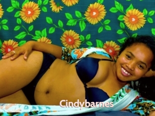 Cindybarnes