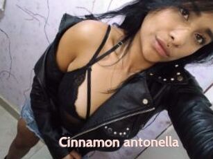Cinnamon_antonella