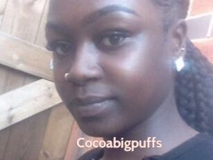 Cocoabigpuffs
