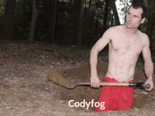 Codyfog