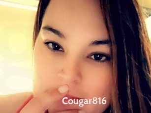 Cougar816
