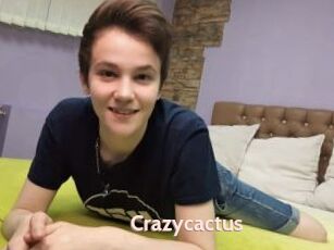 Crazycactus