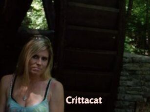 Crittacat