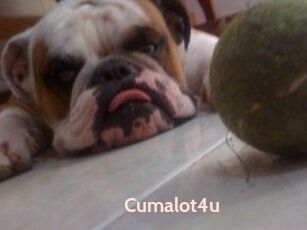 Cumalot4u