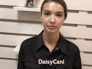 DaisyCani