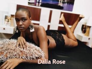 Dalia_Rose