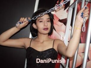 DaniPunish