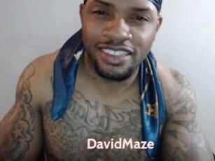 David_Maze