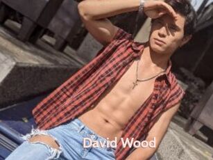 David_Wood