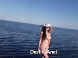 DestinyAnel