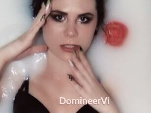DomineerVi