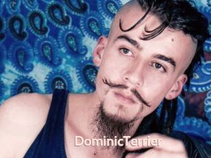 DominicTerrier