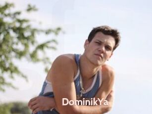 DominikYa