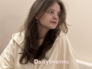 Daisybeames