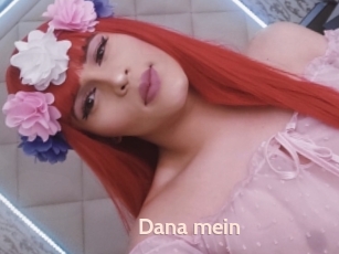 Dana_mein