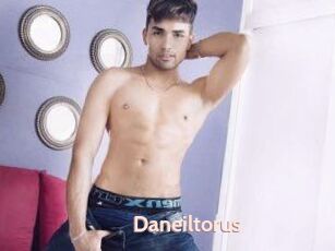 Daneil_torus