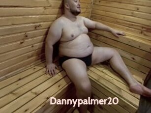 Dannypalmer20