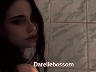 Darellebossom